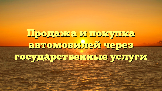 Продажа и покупка автомобилей через государственные услуги